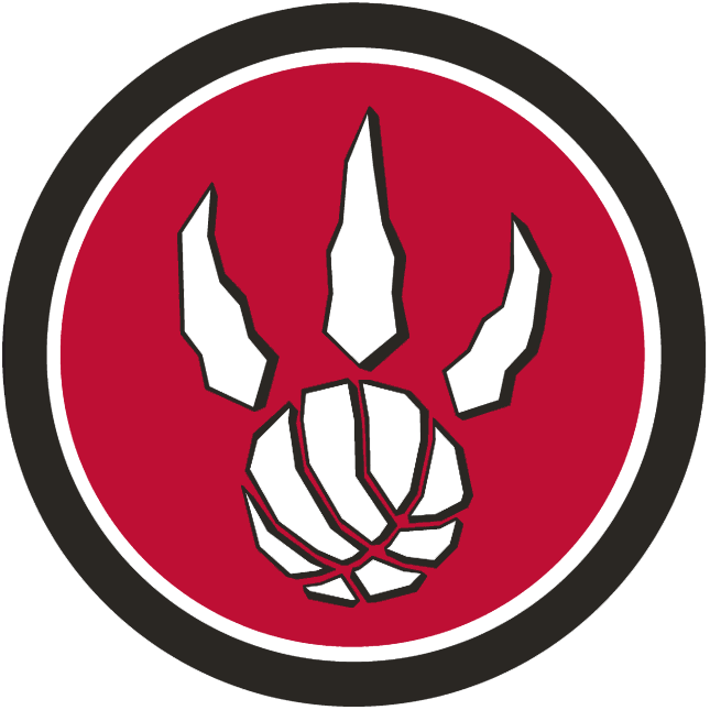 Toronto Raptors 2008-2011 Alternate Logo fabric transfer version 2